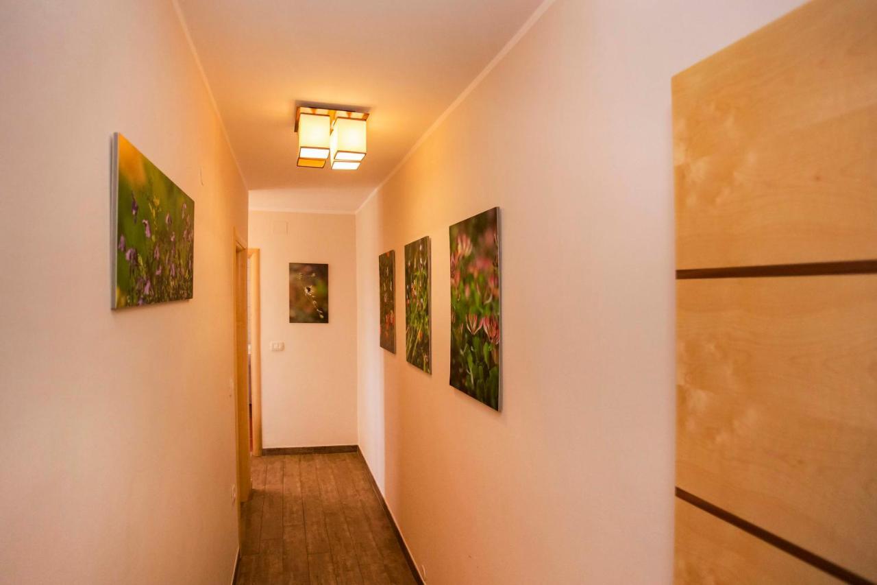 Apartments Romano โรวีน ภายนอก รูปภาพ